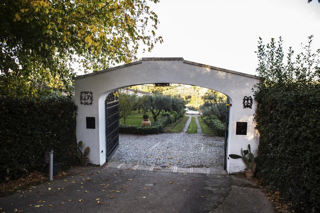 Il Pettirosso B&B Grottaferrata Exterior foto