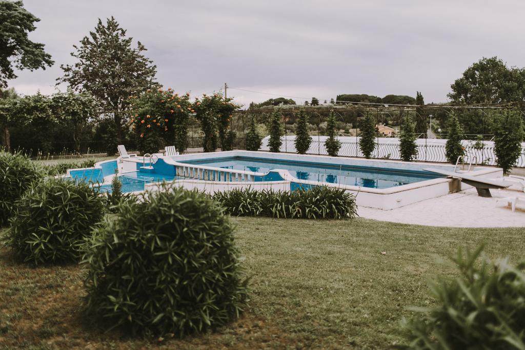 Il Pettirosso B&B Grottaferrata Exterior foto